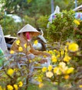 Vietnamese woman at flower market on Tet