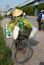 Vietnamese woman pack bunch of bananas, transport by bicycle, mobile fruits shop, street vendor