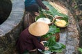 Vietnamese woman preparing to make Chung Cake, the Vietnamese lunar new year Tet food outdoor by old well and pond