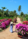 Vietnamese woman with traditional dress Royalty Free Stock Photo