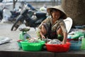 Vietnamese woman selling fish in washbowls Royalty Free Stock Photo