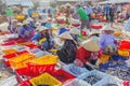 Vietnamese woman working at Long Hai fish market Royalty Free Stock Photo