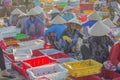 Vietnamese woman working at Long Hai fish market Royalty Free Stock Photo