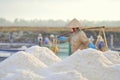 Vietnamese women are burdening hard to collect salt from the extract fields to the storage fields