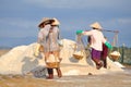 Vietnamese women are burdening hard to collect salt from the extract fields to the storage fields