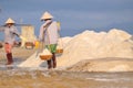 Vietnamese women are burdening hard to collect salt from the extract fields to the storage fields