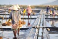 Vietnamese women are burdening hard to collect salt from the extract fields to the storage fields Royalty Free Stock Photo