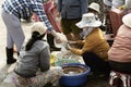 Vietnamese women selling fish at the outskirts of Da Nang, Vietnam