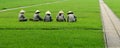 Vietnamese women sitting on the grass