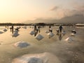 Vietnamese women working on the salt fields in Ninh Thuan, Vietnam Royalty Free Stock Photo