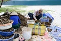 Worker opening oysters from Lap An Lagoon between Da Nang and Hue City, Vietnam