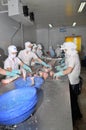 Vietnamese workers are filleting pangasius fish in a seafood processing plant in the mekong delta Royalty Free Stock Photo