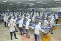 Vietnamese workers are filleting pangasius fish in a seafood processing plant in the mekong delta Royalty Free Stock Photo