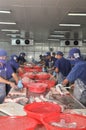 Vietnamese workers are filleting pangasius fish in a seafood processing plant in the mekong delta