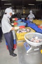 Vietnamese workers are sorting pangasius fish after cutting in a seafood processing plant in the mekong delta Royalty Free Stock Photo