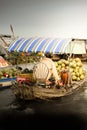 Vietnamse coconut seller at the floating market