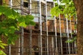 View of an abandoned building through the branches of trees