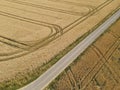 View from above of a asphalt path between wheat fields in summer Royalty Free Stock Photo
