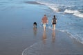 View from above of the back of a man and woman walking their dog along the edge of the ocean water on a sunny day Royalty Free Stock Photo