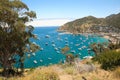 View from above of the bay and casino, Avalon, Santa Catalina Island, California Royalty Free Stock Photo