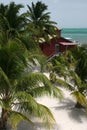 View from above the beach at Caye Caulker