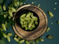 View from above of black bowl with fresh green hop cones on rustic wooden cutting board over dark stone background. Concept of