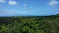 View from above of coconut trees, green vegetation and the sea Royalty Free Stock Photo
