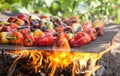 View from above of colorful red, green and yellow stuffed veggy savory bell peppers grilling on a BBQ Royalty Free Stock Photo