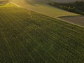 View from above of country fields with a road on sunny evening