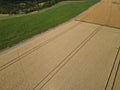 View from above of a countryside with gold crop fields, green cornfields, a road and trees in summer Royalty Free Stock Photo