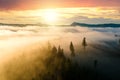 View from above of dark moody pine trees in spruce foggy forest with bright sunrise rays shining through branches in autumn Royalty Free Stock Photo