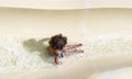 View from Above of a diverse boy riding down a water slide Royalty Free Stock Photo