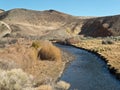 East Walker River in Western Nevada