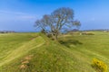 A view above the eastern ramparts of the Iron Age Hill fort remains at Burrough Hill in Leicestershire, UK Royalty Free Stock Photo