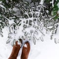 View from above on the feet in brown boots in the snow near the spruce Royalty Free Stock Photo