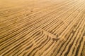 View from above field after harvest. Incredible landscapes and textures. The dug-up strips left by the combines form Royalty Free Stock Photo