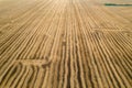 View from above field after harvest. Incredible landscapes and textures. The dug-up strips left by the combines form Royalty Free Stock Photo