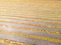 View from above field after harvest. Incredible landscapes and textures. The dug-up strips left by combines form geometric lines Royalty Free Stock Photo