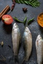 View from above of fish with vegetables and spices on a dark background Royalty Free Stock Photo