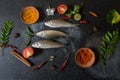 View from above of fish with vegetables and spices on a dark background Royalty Free Stock Photo