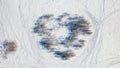 View from above of footprints and blue shadows of naked trees on snow