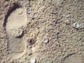 A view from above on a footstep in the sand at the beach in Tel Aviv Royalty Free Stock Photo