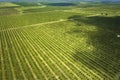 View from above of green farmlands with rows of orange grove trees growing on a sunny day in Florida Royalty Free Stock Photo