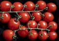 View from above of group red fresh ripened cherry tomatoes on black background Royalty Free Stock Photo