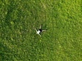 View from above happy man lying on grass relaxing Royalty Free Stock Photo