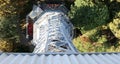 view from above from the high Petrin Tower in Prague in the Czec