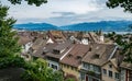 A view from above of the historic old town of Rapperswil framed by lush green trees and leaves