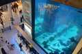 View from above of a huge aquarium