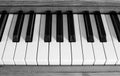 Piano Keys in Black and White Royalty Free Stock Photo