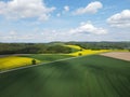 View from above of a landscape with growing wheat field, blooming canola field, a road and a blue sky with white clouds in spring Royalty Free Stock Photo